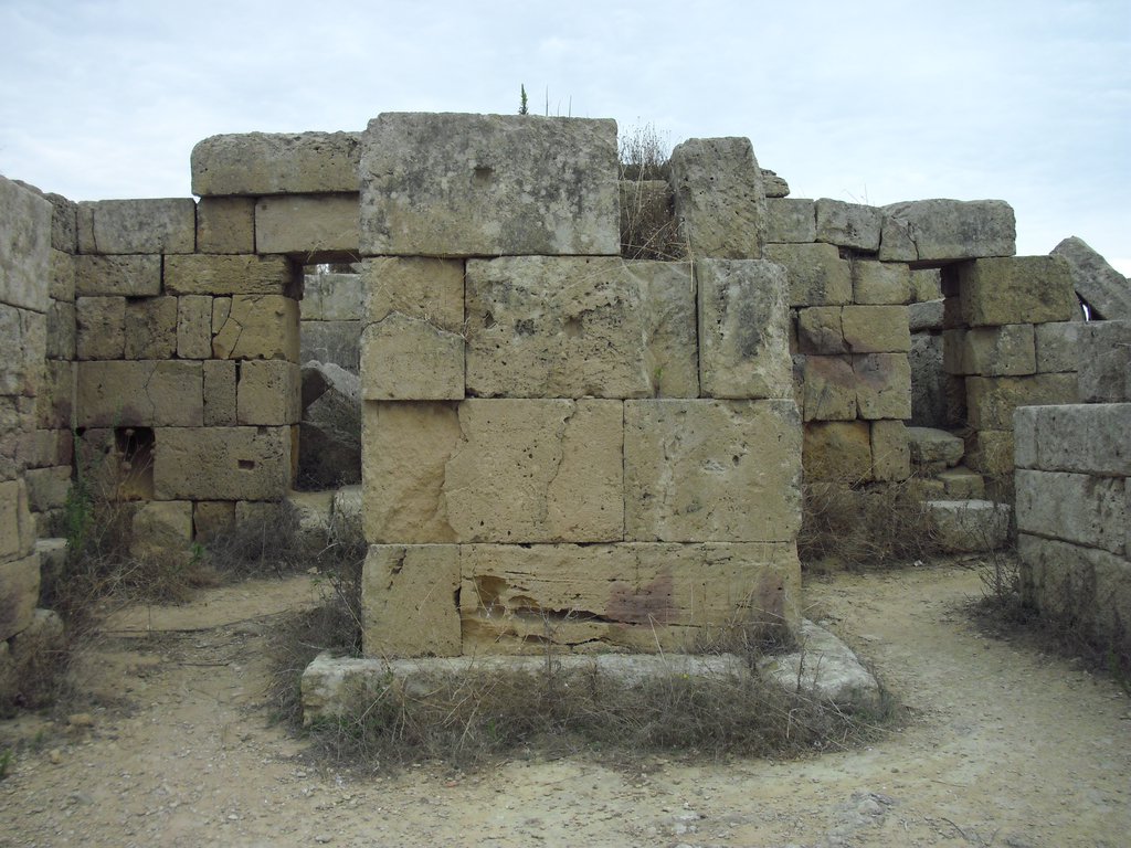 Image cimg0996.jpg