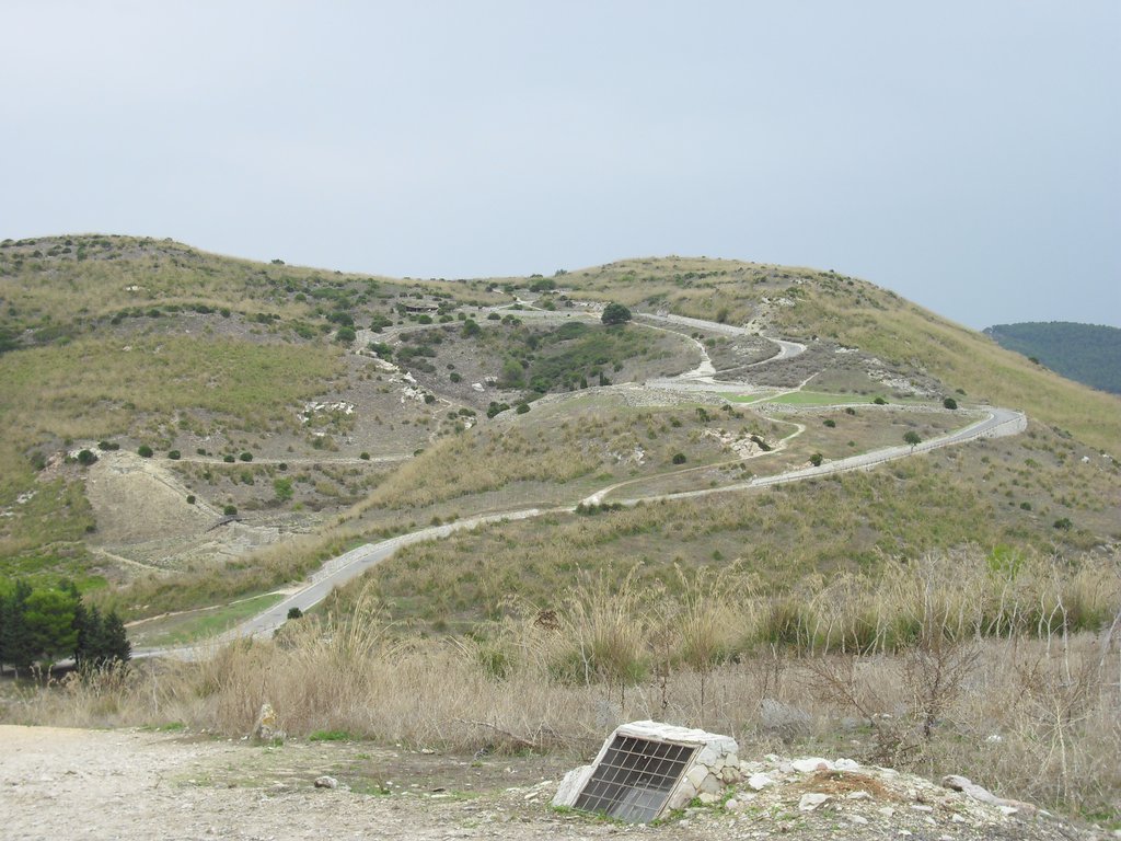 Image cimg1009.jpg
