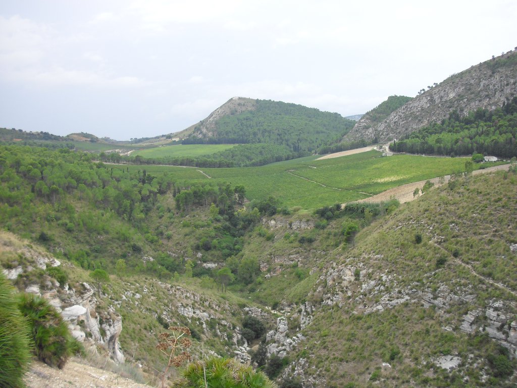 Image cimg1012.jpg
