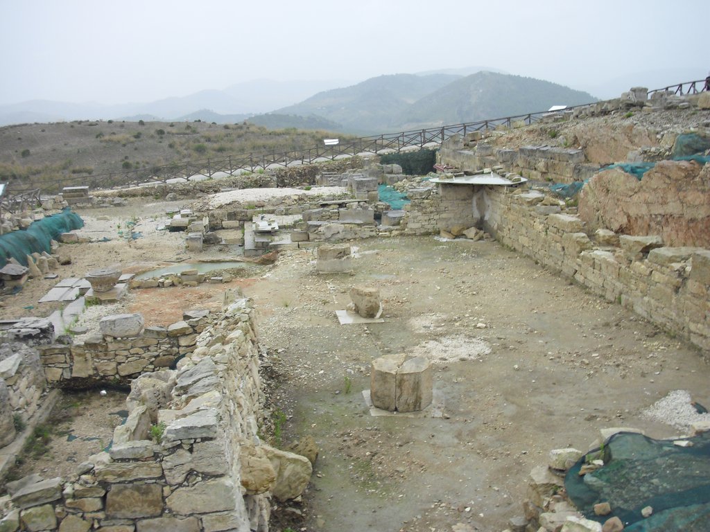 Image cimg1020.jpg