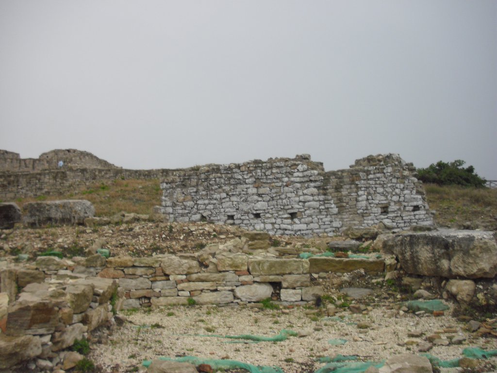 Image cimg1022.jpg