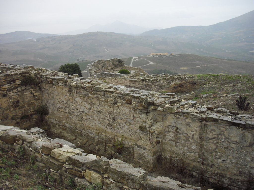 Image cimg1034.jpg