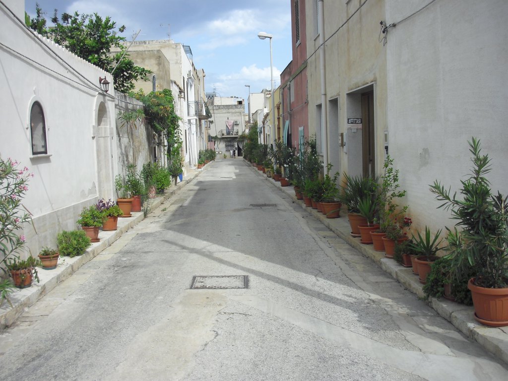 Image cimg1067.jpg
