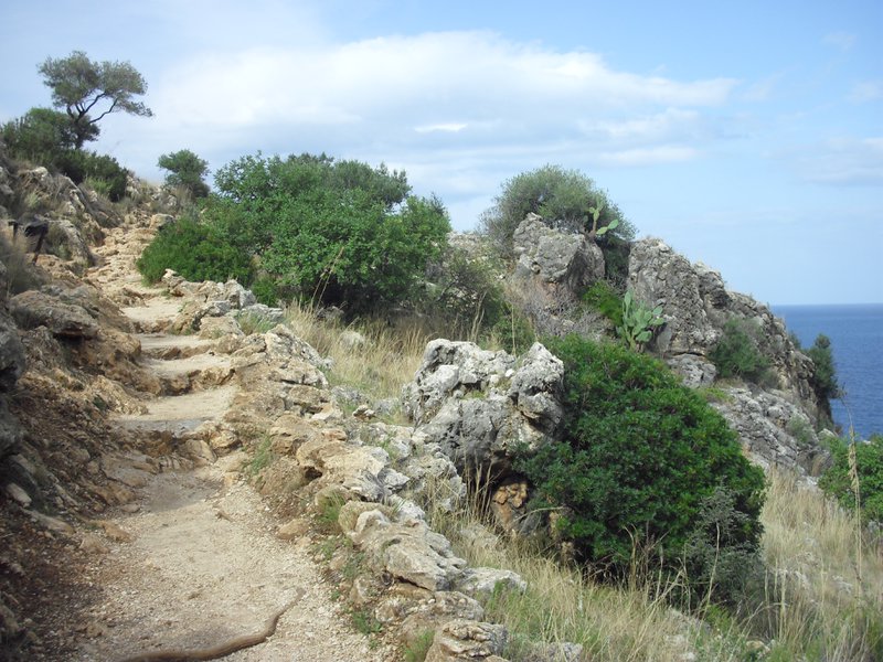 Image cimg1088.jpg