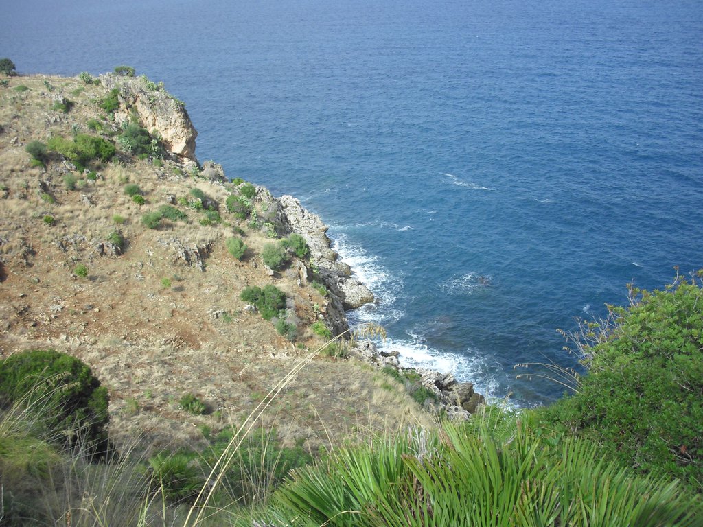 Image cimg1089.jpg