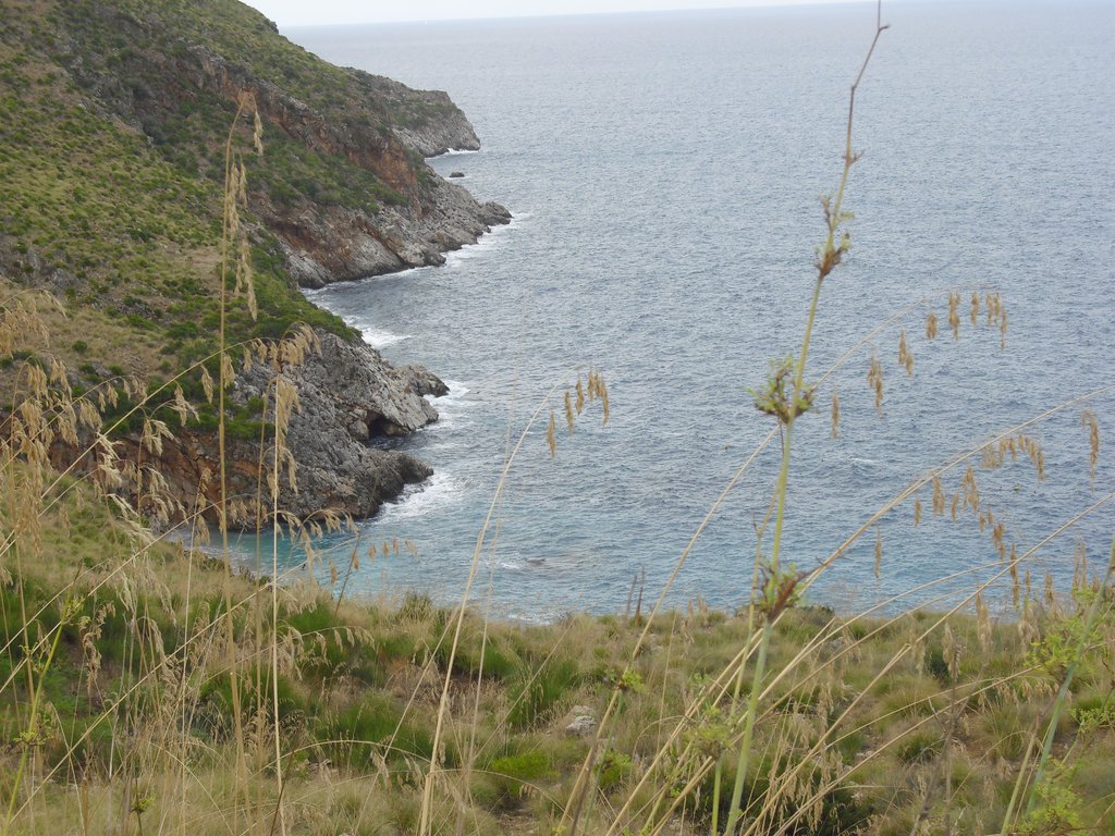 Image cimg1090.jpg