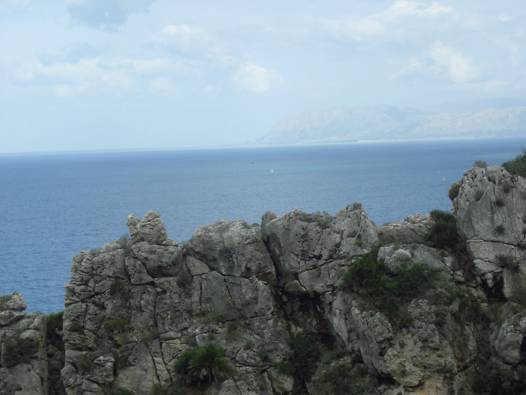 Image cimg1105.jpg