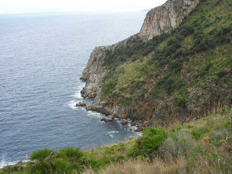 Image cimg1106.jpg