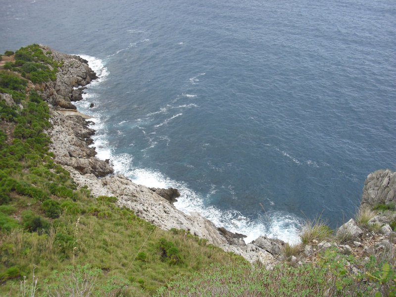Image cimg1107.jpg