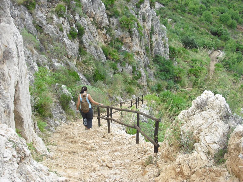 Image cimg1111.jpg