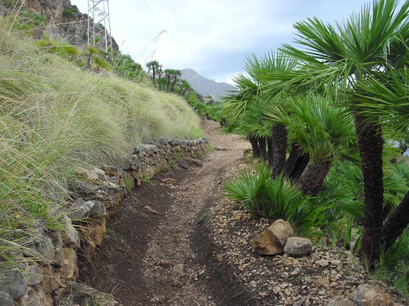 Image cimg1114.jpg