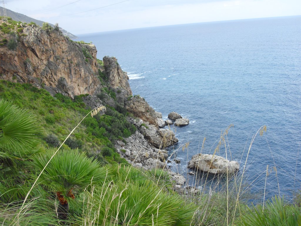 Image cimg1118.jpg