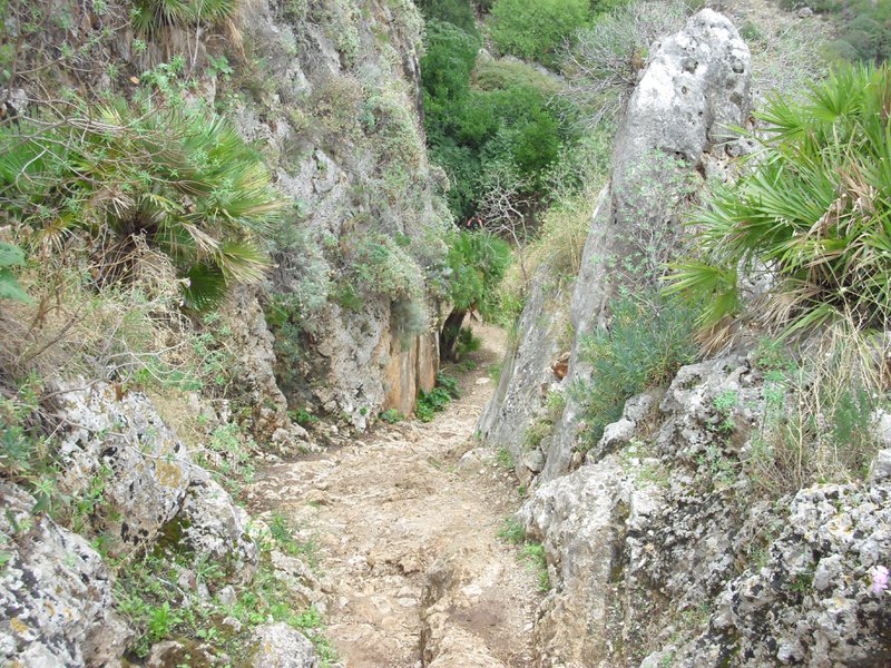 Image cimg1123.jpg