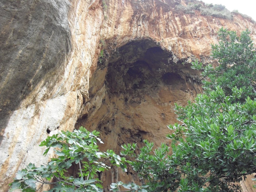 Image cimg1124.jpg