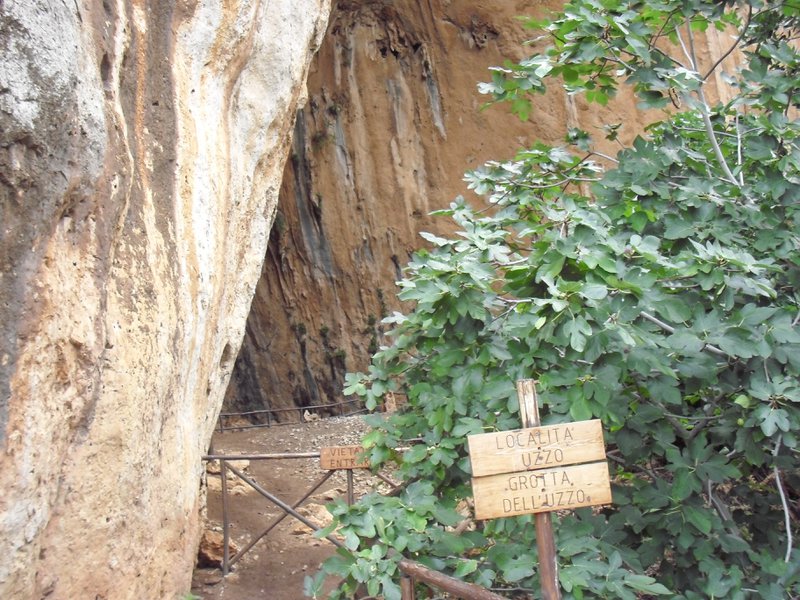 Image cimg1125.jpg