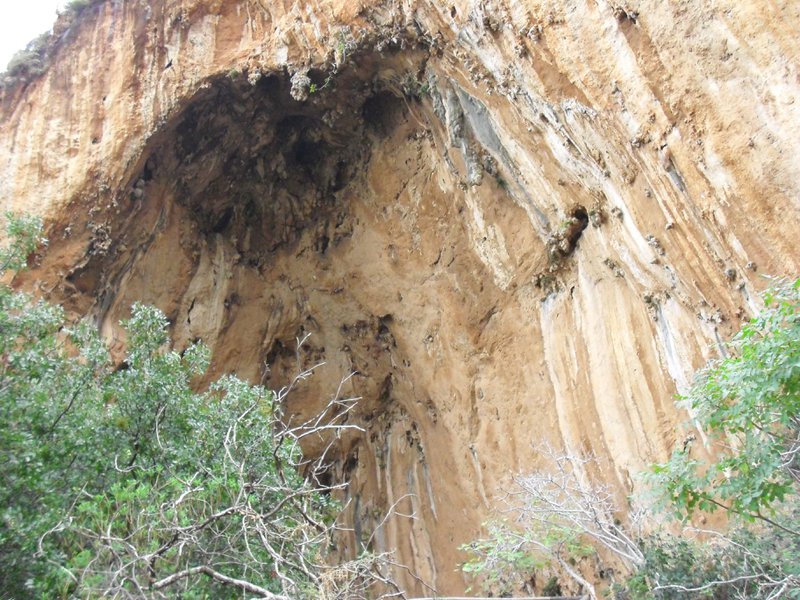 Image cimg1126.jpg
