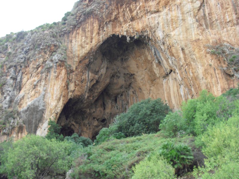Image cimg1128.jpg
