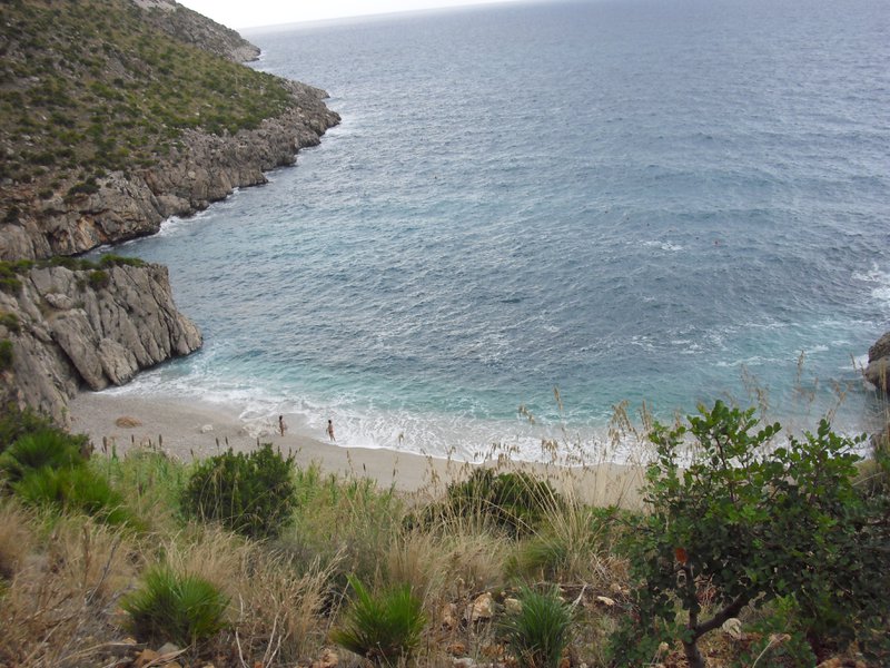 Image cimg1131.jpg