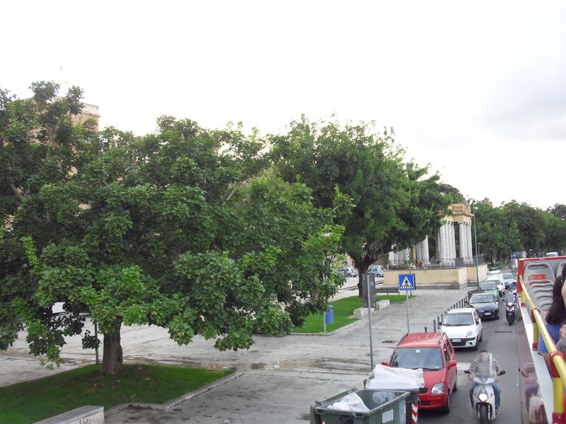 Image cimg1197.jpg