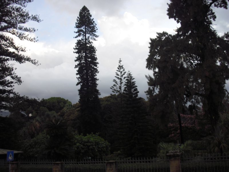 Image cimg1207.jpg