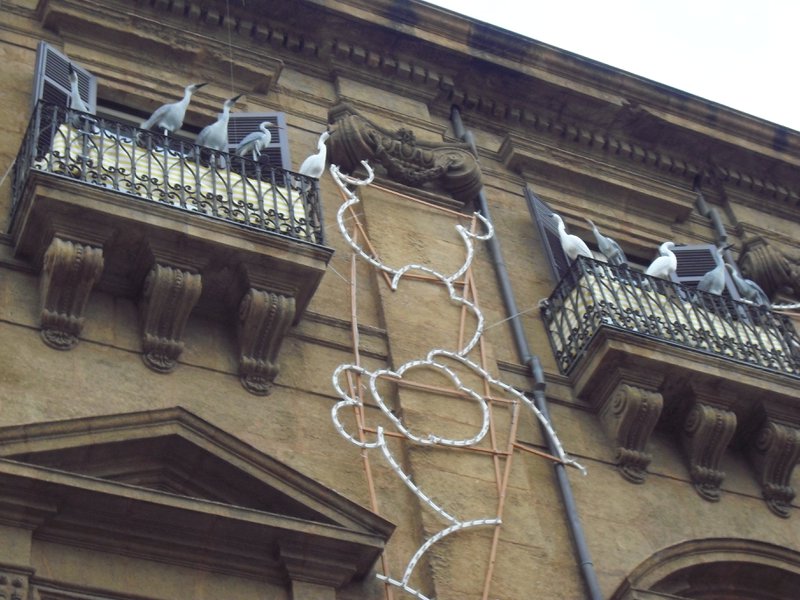 Image cimg1218.jpg