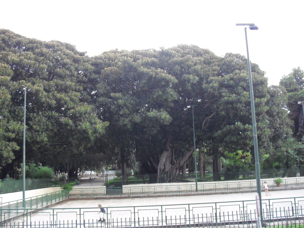 Image cimg1222.jpg