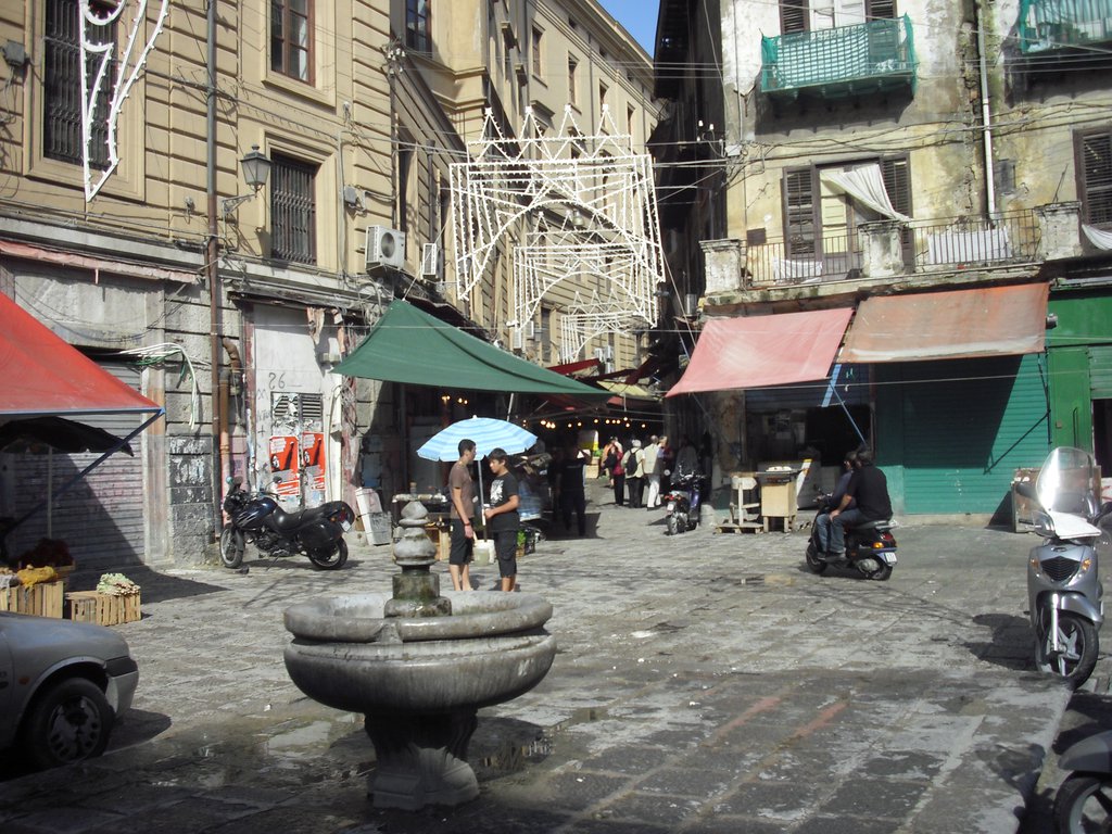 Image cimg1232.jpg