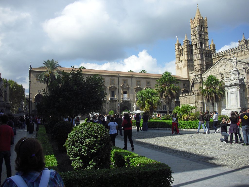 Image cimg1244.jpg