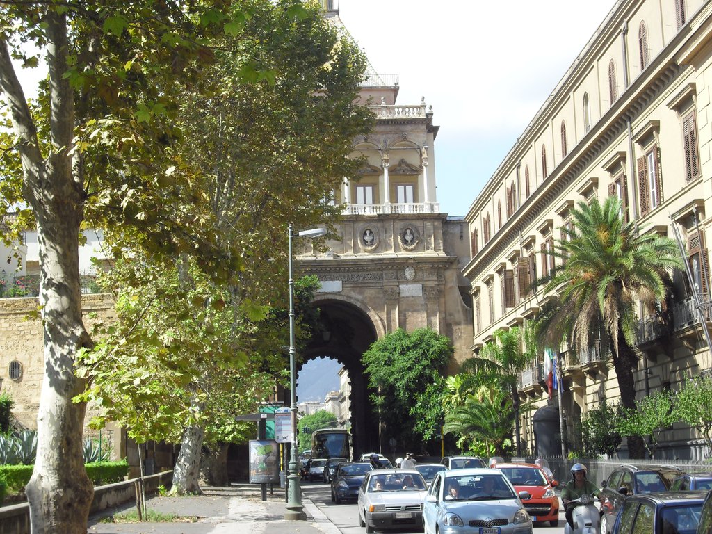 Image cimg1245.jpg