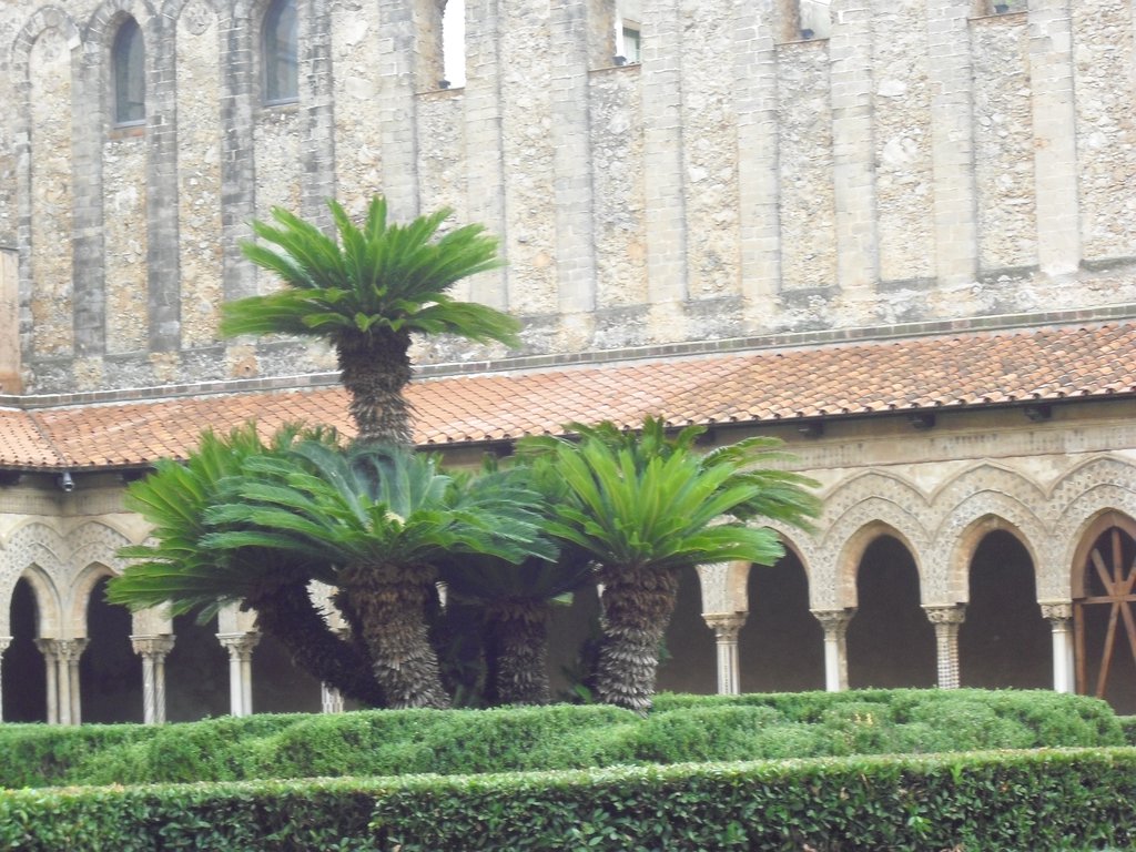 Image cimg1262.jpg
