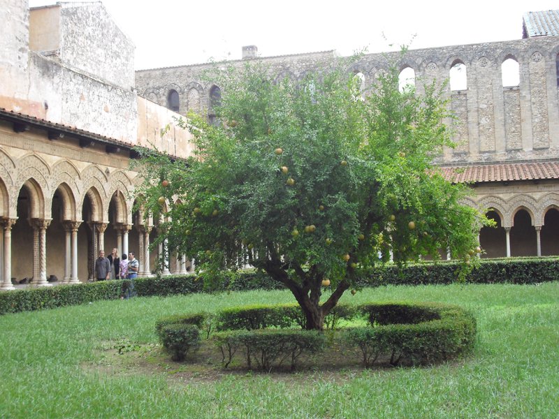Image cimg1264.jpg