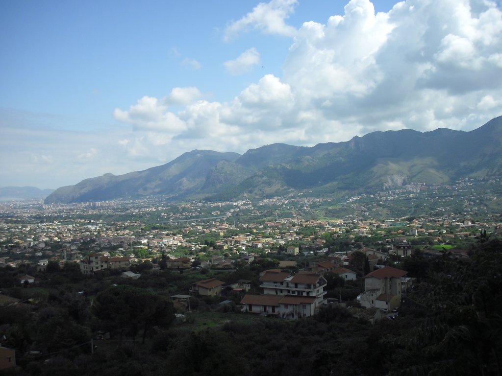 Image cimg1277.jpg