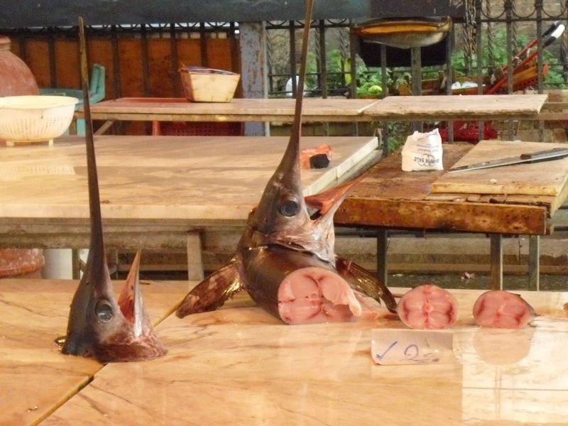 Image cimg1317.jpg