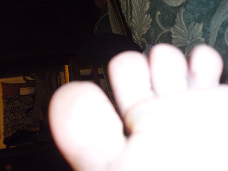Image cimg1328.jpg