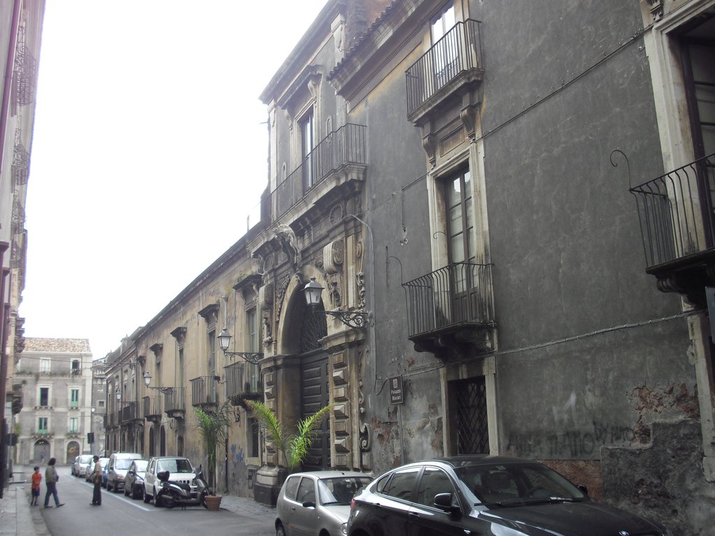 Image cimg1338.jpg