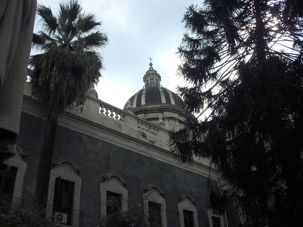 Image cimg1342.jpg