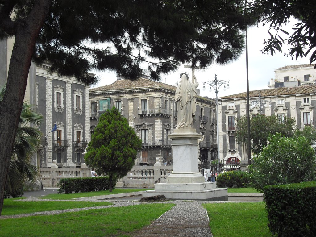 Image cimg1343.jpg