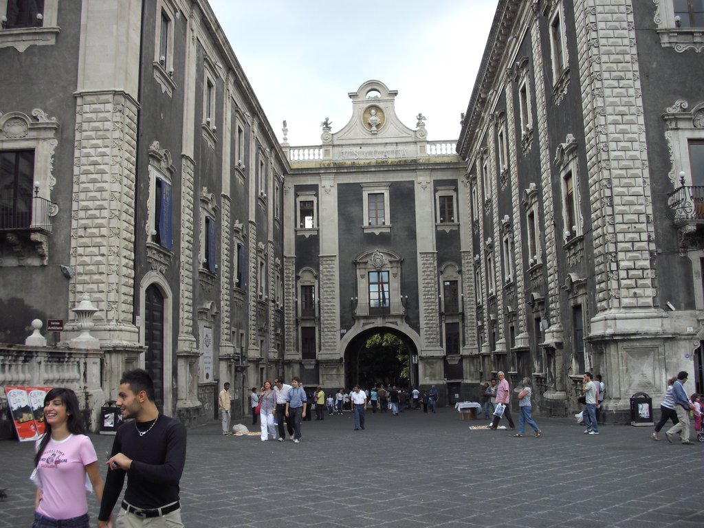 Image cimg1353.jpg