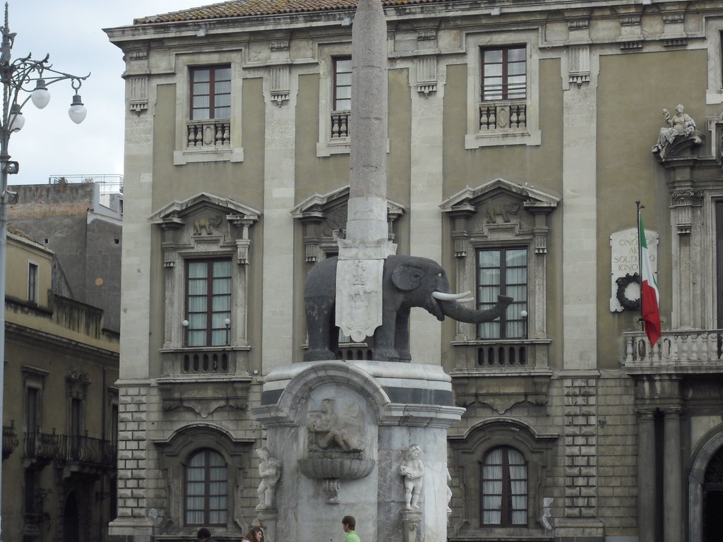 Image cimg1357.jpg
