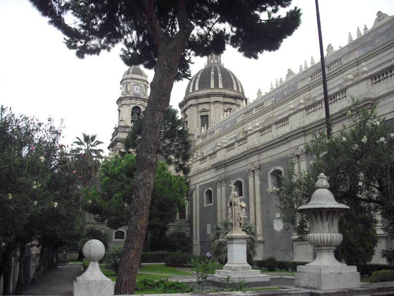 Image cimg1359.jpg