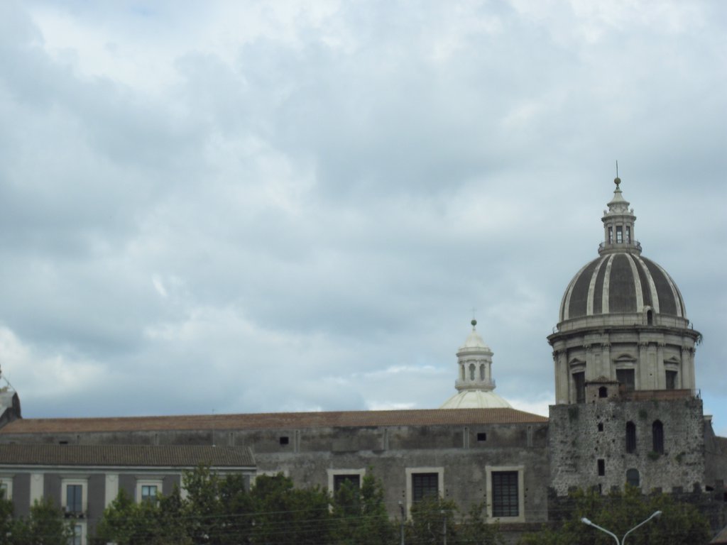 Image cimg1361.jpg