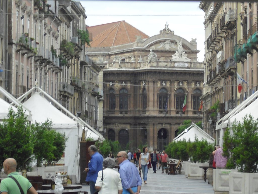 Image cimg1365.jpg