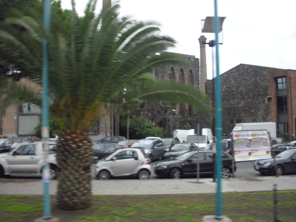 Image cimg1370.jpg