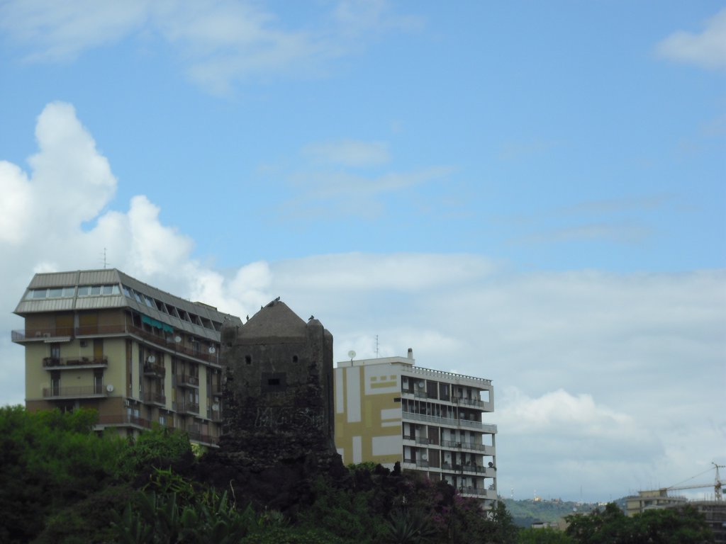Image cimg1373.jpg
