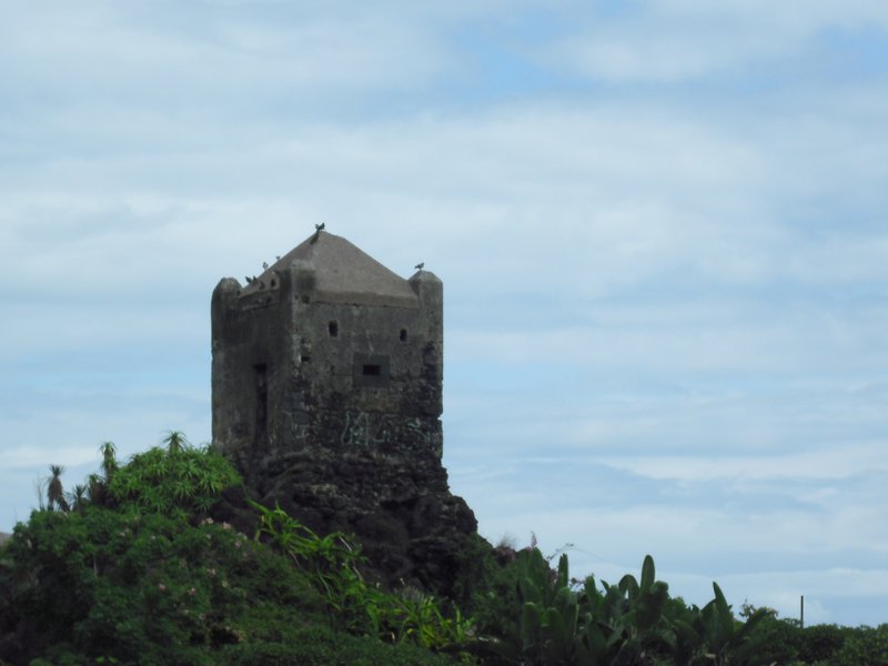 Image cimg1378.jpg