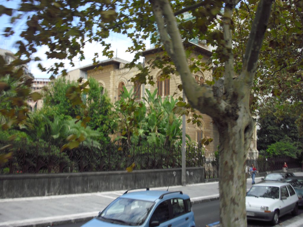 Image cimg1380.jpg