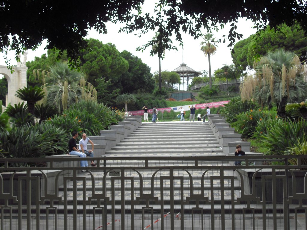 Image cimg1388.jpg