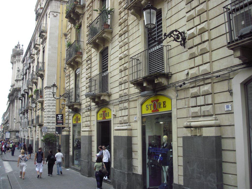 Image cimg1393.jpg