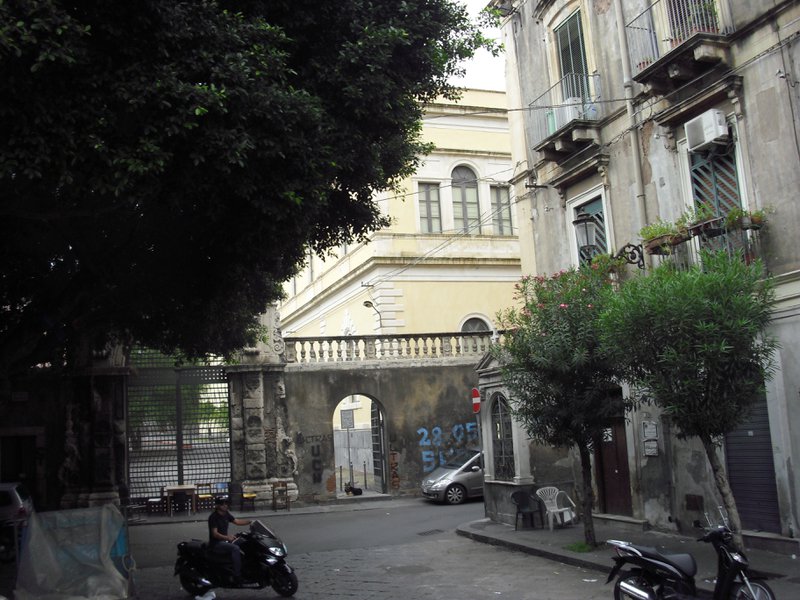 Image cimg1395.jpg