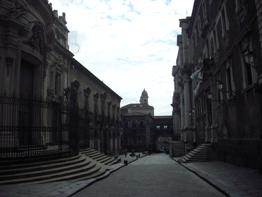 Image cimg1417.jpg